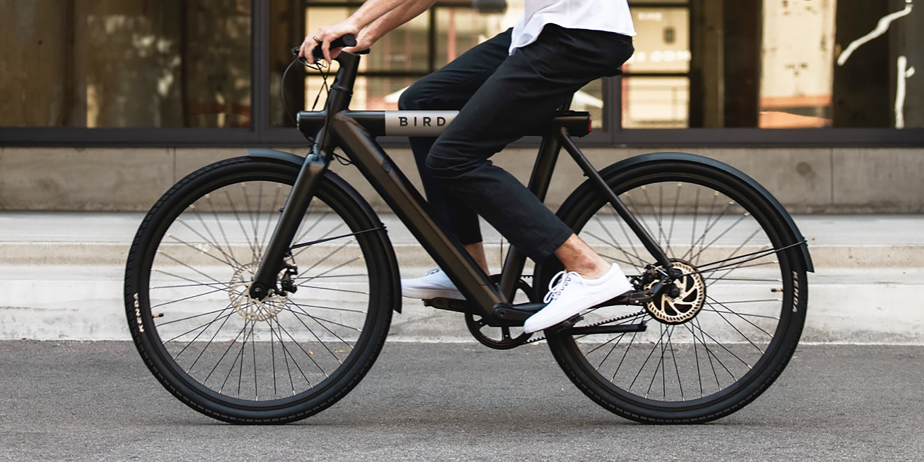 Reusachtig Aftrekken Alfabet Bird Bike review: is de e-bike het waard? | Voltes - Electric Mobility