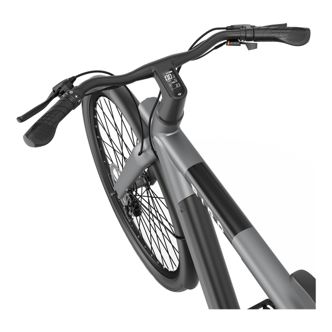 Bird Bike Grafity Gray