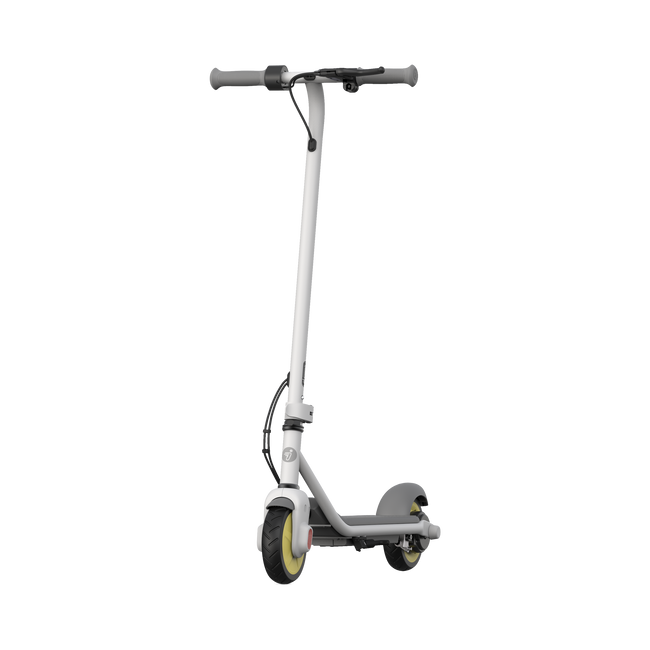 Segway-Ninebot eKickscooter Zing C10 schuin